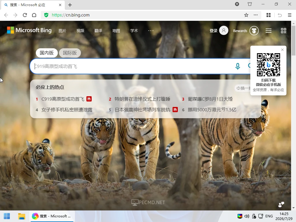 3.webp
